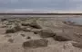 
This photograph taken on November 8 shows a partly dry area of Kakhovka Reservoir, outside Zaporizhzhia. [Roman Pilipey/AFP]        