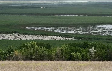 This photograph shows the riverbank of Kakhovka reservoir near the village of Novovorontsovka, Kherson province, on June 3, after water from the destroyed Kakhovka dam receded, amid the Russian invasion of Ukraine. [Genya Savilov/AFP]