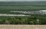 
This photograph shows the riverbank of Kakhovka reservoir near the village of Novovorontsovka, Kherson province, on June 3, after water from the destroyed Kakhovka dam receded, amid the Russian invasion of Ukraine. [Genya Savilov/AFP]        