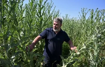 Oleksandr Khodosovtsev, professor of botany at Kherson State University speaks during an interview with AFP in outskirts of Kherson on June 2 amid the Russian invasion of Ukraine. [Genya Savilov/AFP]