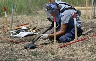 A deminer from the HALO Trust NGO clears mines in a field outside the village of Snigurivka in Mykolaiv province, Ukraine, June 4. [Genya Savilov/AFP]