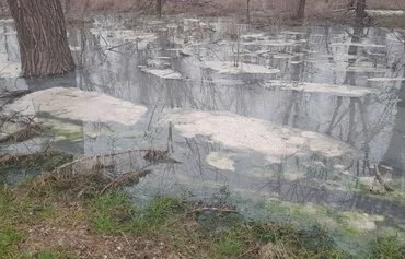 The Sea of Azov is being contaminated by sewage runoff from Mariupol's streets. 'There's just not enough air to breathe. No one cares one bit about this, and complaining doesn't help,' furious residents said, according to a July 10 Telegram post by the Mariupol city council in exile. [File]