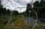 
A razor wire boundary fence is seen along the Polish-Lithuanian border with Kaliningrad province, Russia, in Wisztyniec, northeastern Poland, on August 12. [Sergei Gapon/AFP]        