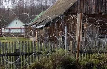 A local resident looks through concertina wire next to the border fence in Minkowce village, Podlasie region, Poland, on November 15. [Wojtek Radwanski/AFP]