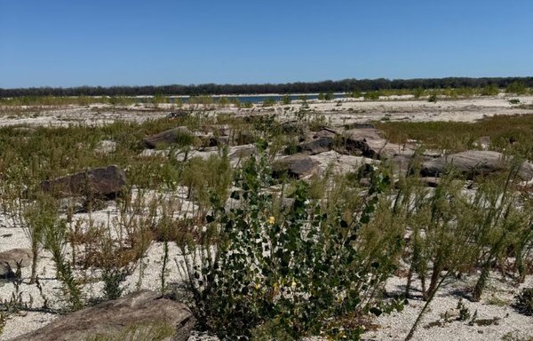 Ukraine builds the first database of war's environmental crimes