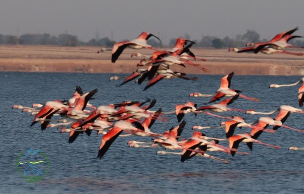 War is rewriting the natural world in southern Ukraine
